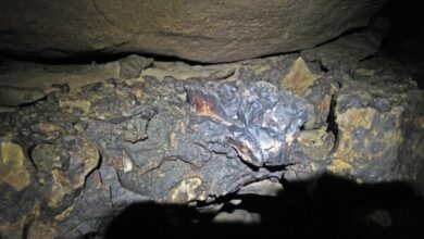 Gold Lion Resources acquires interest in a past-producing manganese mine in Morocco