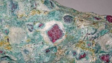 Cabo Delgado announces sale of €5 mln of gems in Thailand auction