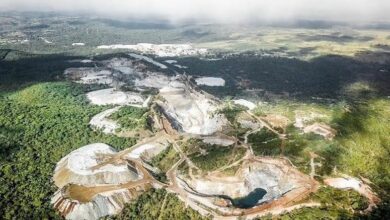 Kodal Minerals considers DMS plant option on Bougouni lithium project in Mali