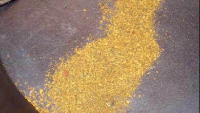 Asante Gold conditionally approved for Toronto venture exchange listing