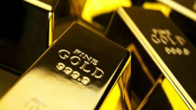 TRX Gold to boost production at Buckreef Gold project in Tanzania