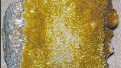 GoviEx Uranium seals final tranche of financing