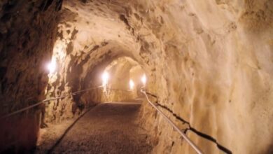 Williamson mine in Tanzania suspended