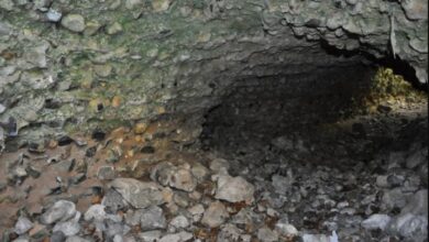 Mkango awarded grant for German rare earth magnet recycling plant