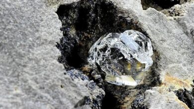 Botswana Diamonds, Petra settle on data licence deal over Reivilo prospect