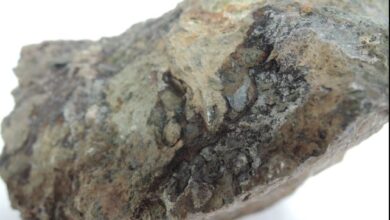 Madison to acquire additional mining licences for uranium mining in Namibia