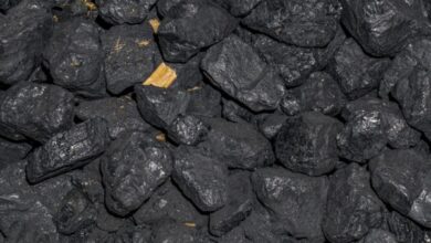 Marula Mining acquires mining licence for Bagamoyo Graphite Project