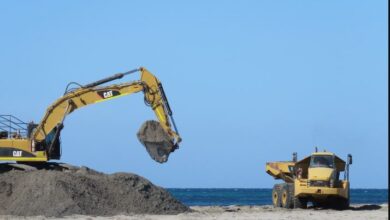 Leo Lithium appoints COO