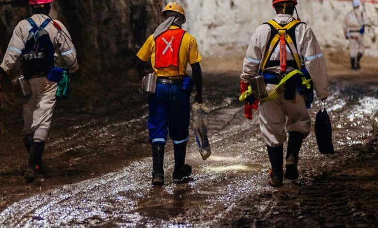 Sustainable Organisational Performance, People Management & Operational Optimisation