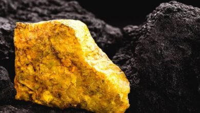 GoviEx to sells Falea uranium project in Mali