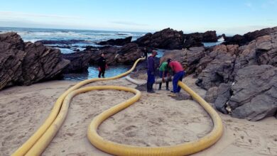 Indicators of Success in Mineral Exploration