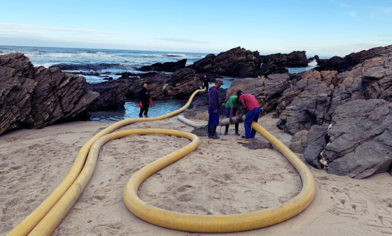 Indicators of Success in Mineral Exploration