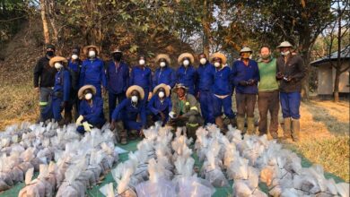 Exploration services and ground geophysical surveys for early and advanced stages