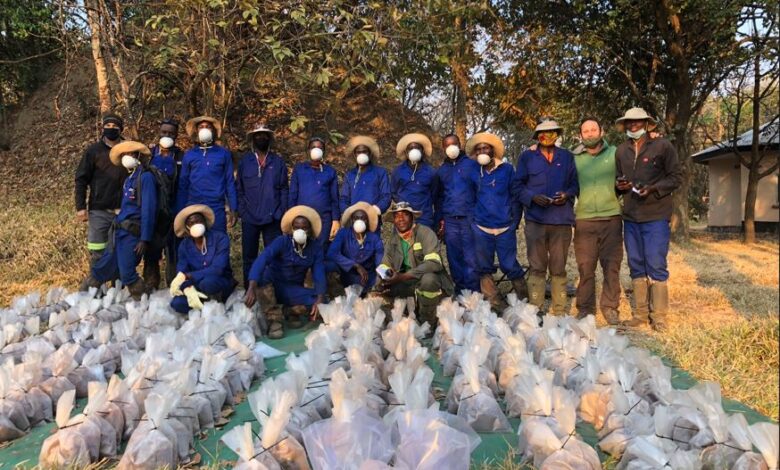 Exploration services and ground geophysical surveys for early and advanced stages