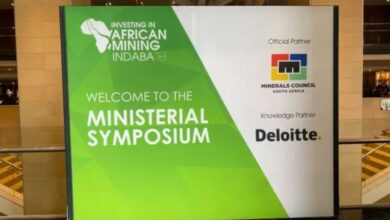 Partnerships are key to leverage opportunities in Africa