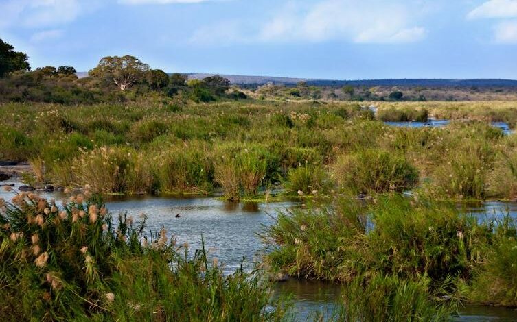 WEC Projects secures new orders from Lucara Diamond