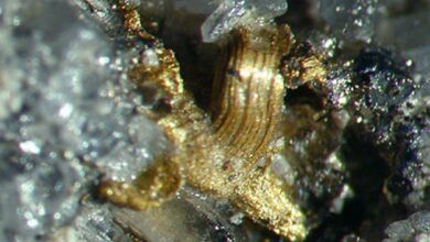 Egypt launches global auction for gold exploration