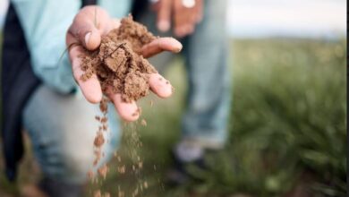 Quad range from CHRYSO underpins commitment to sustainability