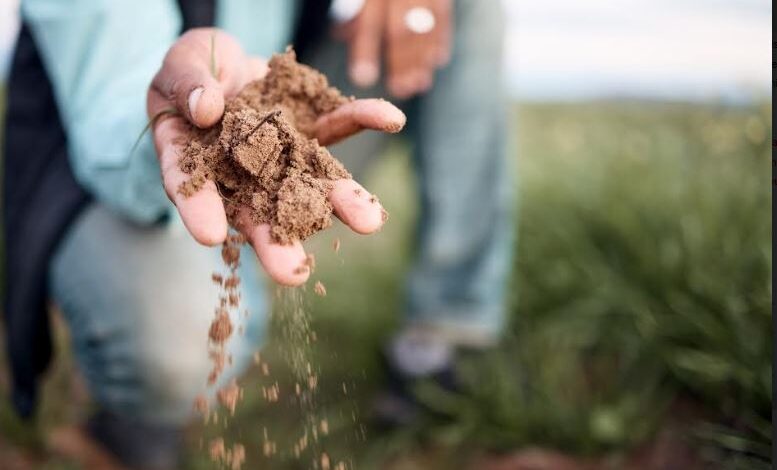 Quad range from CHRYSO underpins commitment to sustainability