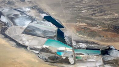 Sinomine halts operations at Bikita Minerals