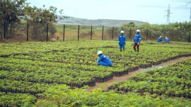 Glencore affirms commitment to biodiversity protection at its DRC industrial assets in recognition of UN International Day for Biological Diversity