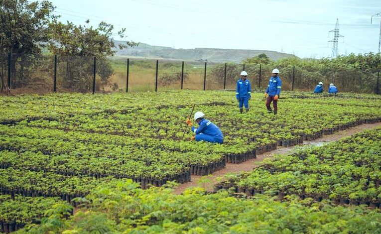 Glencore affirms commitment to biodiversity protection at its DRC industrial assets in recognition of UN International Day for Biological Diversity