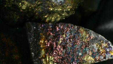 Copper 360 Limited announces confirmed high-grade copper intersections at Rietberg mine and a new surface discovery