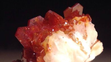 Vanitec members to highlight the critical role of vanadium at 26th World Mining Congress in Brisbane, Australia