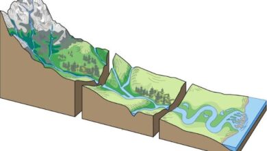 3D modelling has much to offer the TSF field – SRK