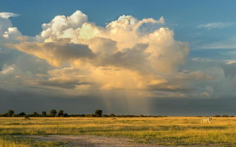 Complexity meets uncertainty in EIAs