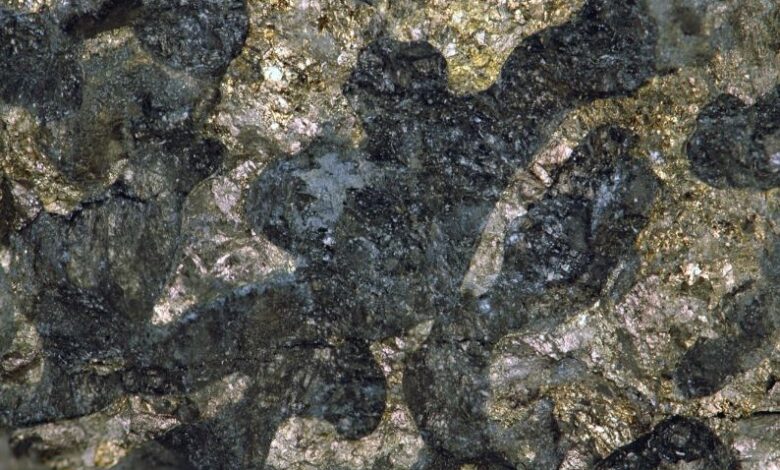 Zimbabwe miners seek deferral of proposed export tax