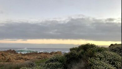 Biodiversity focus in EIA demands specialist skill set