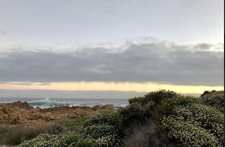 Biodiversity focus in EIA demands specialist skill set