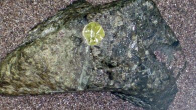 Botswana Diamonds identifies anomalies at its KX36 project