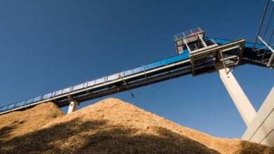 AES: branching out with energy plant and biomass optimisation in the timber sector