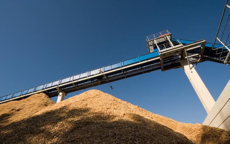 AES: branching out with energy plant and biomass optimisation in the timber sector