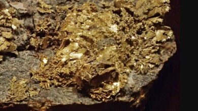 Starcore International issues update on Kimoukro Gold Project