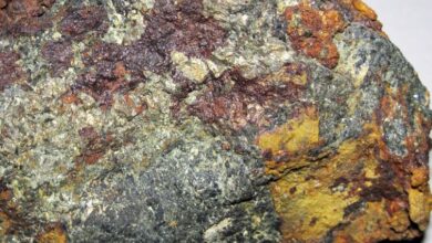 Lifezone granted licence for Kabanga nickel project in Tanzania