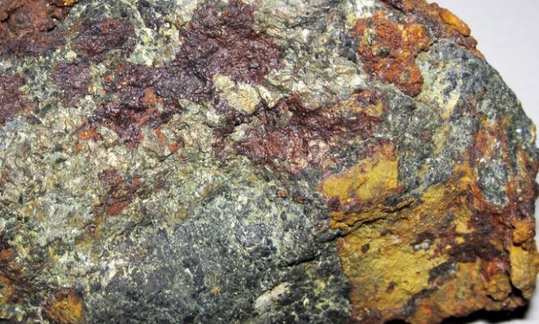 Lifezone granted licence for Kabanga nickel project in Tanzania