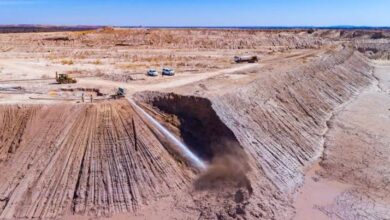 Harmony PMO automates Project Manager Scorecards with PPO