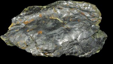 Graphite purification plant to be constructed in Mauritius