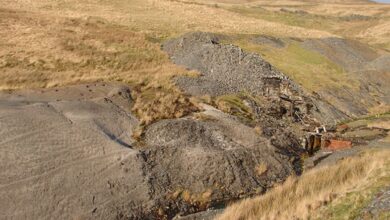 GoviEx Uranium eyes mining permit in Niger