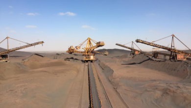 Rooted in Africa, SRK celebrates 50 years of global success