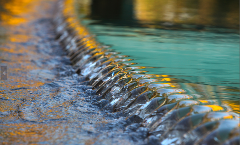 Analytics Software for Water Treatment Plants in Mining