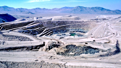 Mali, Ganfeng ink deal for Goulamina lithium mine