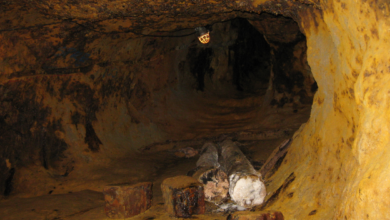 CITIC Metal to sell up to 2% Ivanhoe Mines stake