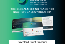 NOG Energy Week 2024: West African Countries Harnessing Gas for Industrialisation to Boost Economic Development