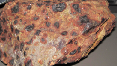 Ghana presents mining leases in parliament