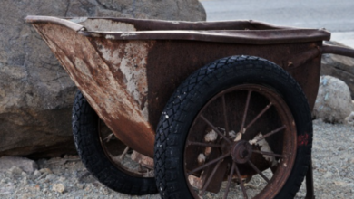 Egypt to launch online platform for mining