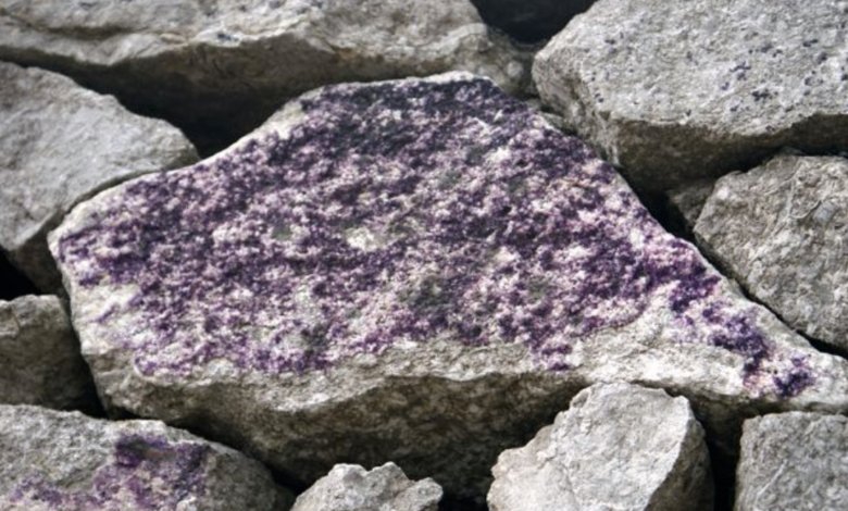 Fluorspar Mining Company in Kenya to resume operations